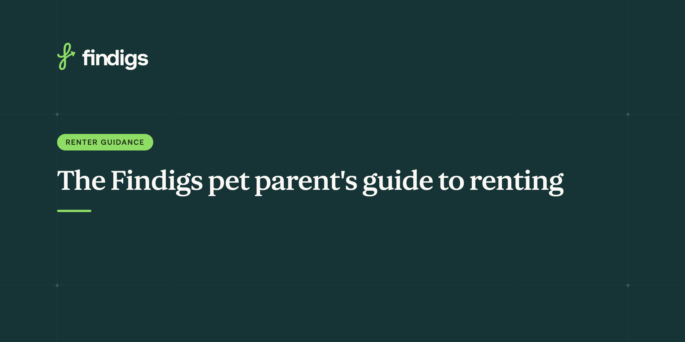 The Findigs pet parent's guide to renting